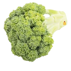 Fresh Broccoli