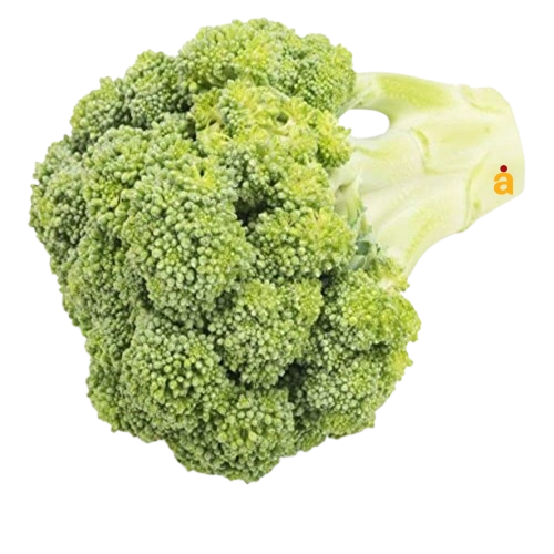 Fresh Broccoli
