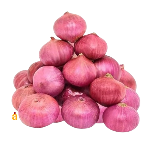 Fresh Onion